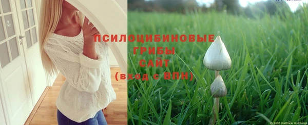 марки nbome Алексеевка