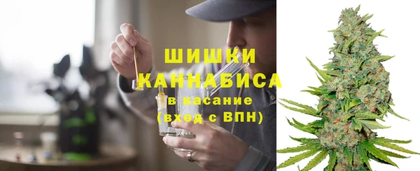 прущие грибы Алексин