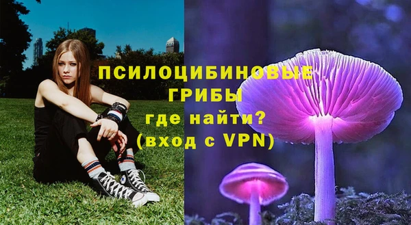винт Алзамай